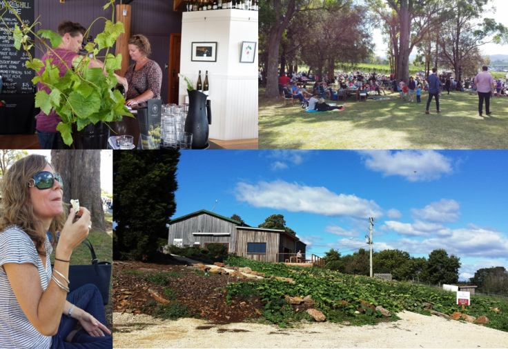 Moore's Hill, Goaty Hill and Holm Oak