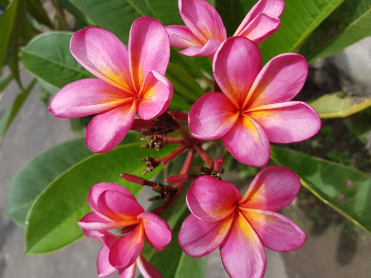 Nusa Lembongan, Indonesia